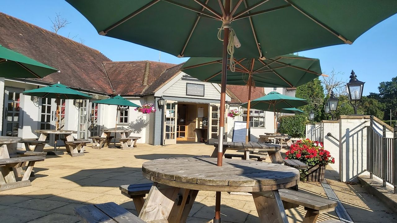 The White Swan